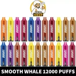SMOOTH Whale Disposable 2% & 5% 12000 Puffs Rechargeable Vape in Dubai, UAE